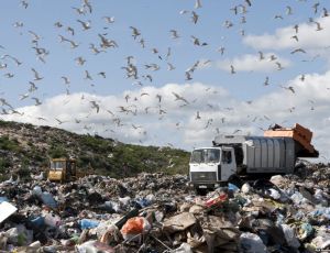 Крымские чиновники не торопятся решать задачу мусора