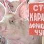 В Крыму обнаружили два захоронения свиней, – Госкомветеринарии