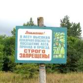 Чиновники решили "прихватизировать" крымские леса?