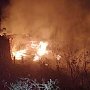 Крымские огнеборцы спасли павлина на пожаре в Партените