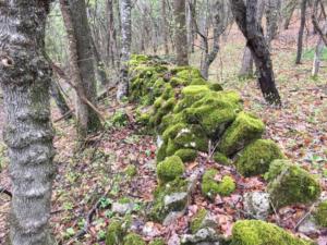 На майские праздники спасатели МЧС будут патрулировать горно-лесную местность Крыма