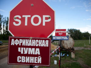 В ряде районов Крыма снова ввели карантин из-за вспышки АЧС