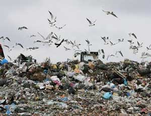 Алушта отказывается закрывать свой мусорный полигон