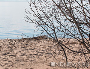 Крымские инновации: в Судаке водоросли похоронили на пляже