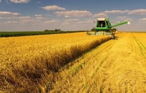 Крым выпросил миллиард на сельское хозяйство