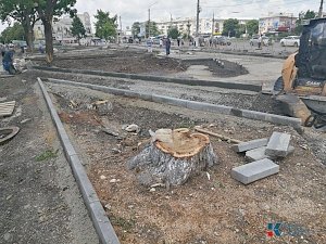 На площади перед Центральным рынком в столице Крыма пилят деревья