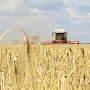 В Крыму уже намолотили 309 тыс. тонн зерна
