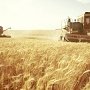 Крым в 2017 году соберет рекордный урожай зерна — Минсельхоз РФ