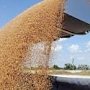 Крымские аграрии продолжают бить рекорды по урожаю ранних зерновых культур