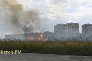 В Керчи одновременно произошли три пожара из-за сухой травы