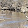 Очистка русел рек – необходимая мера предупреждения наводнения, — Сергей Шахов