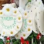 Акция «Белый цветок» пройдёт в Евпатории