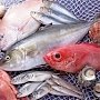 Фанатам рыболовам напоминают, когда запрещена рыбалка в Керченском проливе