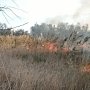 Под Керчью спасатели час тушили возгорание лесополосы
