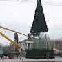 В столице устанавливают новогоднюю ёлки