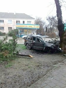 В Феодосии столкновение автомобиля с деревом привело к гибели девушки