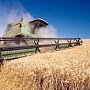 Аксенов надеется на рекордный урожай зерновых