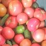 В Крым вновь незаконно пробовали ввезти 47 кг овощей и 52 кг фруктов
