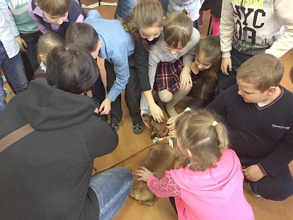 Белгородские комсомольцы совместно с кинологами провели расширенную встречу со школьниками