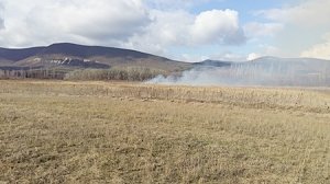 Крымские огнеборцы за сутки четыре раза выезжали тушить горящую траву