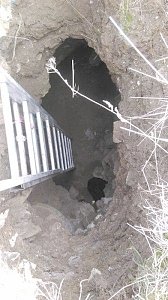 Спасатели вытащили «символ года» из 6-метровой ямы