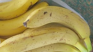 В Крым пробовали ввезти незаконно бананы и сухофрукты
