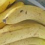 В Крым пробовали ввезти незаконно бананы и сухофрукты