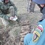 При прохождении обследования местности на наличие взрывоопасных предметов пиротехники МЧС России обнаружили останки бойцов Красной Армии