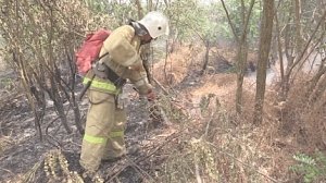 Загорание сухой растительности в Сакском районе ликвидировано
