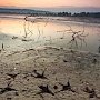 Почвы в Феодосии загрязнили отходами нефтепродуктов