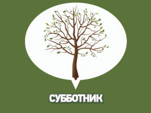Всероссийский субботник пройдёт в Крыму