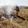В ближайшие дни в Крыму ожидается высокий пожарный класс опасности