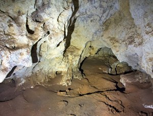 Учёные продолжают исследования найденной под «Тавридой» пещеры