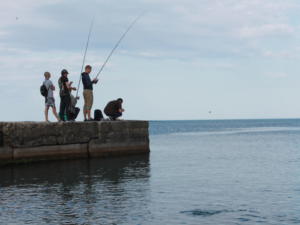 Экотехнадзор установил нарушения в деятельности общества рыболовов-любителей