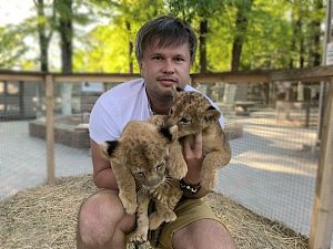 Два малыша-львенка появились в Бахчисарайском зоопарке