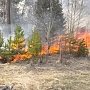 В урочище «Уч-Кош» над Ялтой горит лес