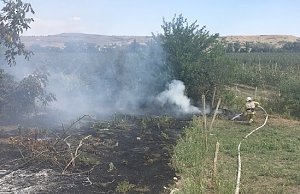 С начала месяца огнеборцы Крыма ликвидировали около 100 возгораний сухой растительности, — Шахов