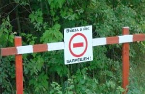 В Крыму вновь введено ограничение на посещение лесов