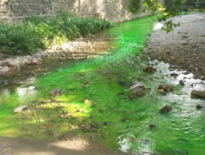 «Зеленая» река в Ялте не представляет опасности для человека