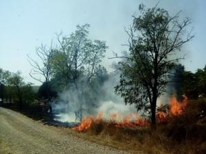 Летний пожароопасный промежуток времени в Крыму официально завершится 1 ноября