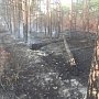 Лесной пожар в окрестностях села Орловка ликвидирован