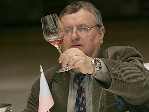 Виноделы из Чехии желают возобновить сотрудничество с Крымом