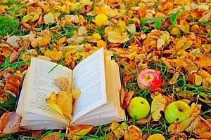 7 книг, которые имеют возможность украсить холодный месяц осени