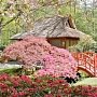 Японский сад торжественно откроют в парке «Айвазовское»