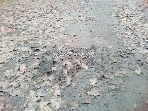 Пешеходная дорожка в Аршинцево — целиком в грязи