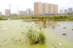 Киевское болото
