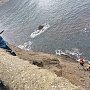 Мужчина сорвался с оградительного бордюра в море в районе тропы Голицына
