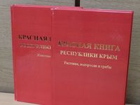 Школьники Крыма имеют возможность поучаствовать в конкурсе «Красная книга глазами детей»