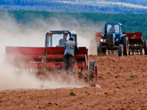 Сев ранних яровых зерновых и зернобобовых культур под урожай 2019 года начали в Крыму