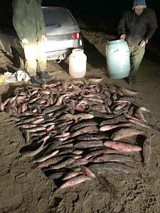 Пограничники обнаружили в районе Арабатской стрелки браконьеров, занимавшихся выловом пиленгаса